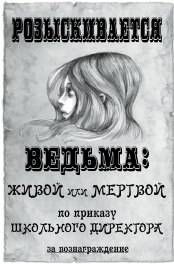 Зоман Чейнани - Мир без принцев (ЛП)