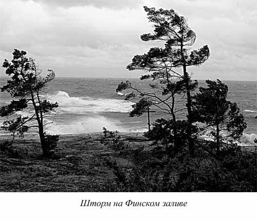 Ким Померанец - Несчастья невских берегов. Из истории петербургских наводнений