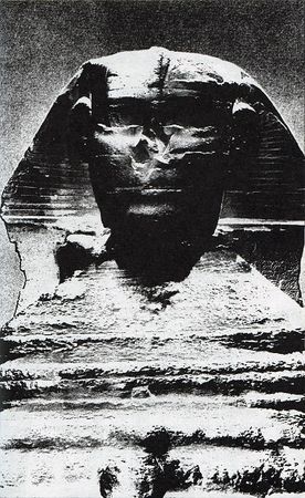 Илья Стогов - Мертвые могут танцевать: Путеводитель на конец света