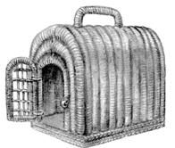 Дарья НЕСТЕРОВА - Кошки - Сфинксы