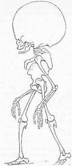 Александр Уголев - Теория адекватного питания и трофология