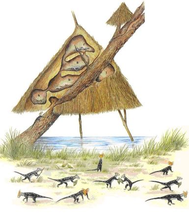 Дугал Диксон - Новые динозавры. Альтернативная эволюция