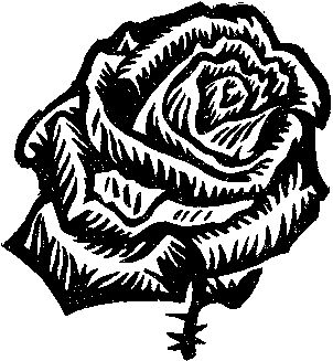 Валентина Журавлева - Снежный мост над пропастью (сборник)