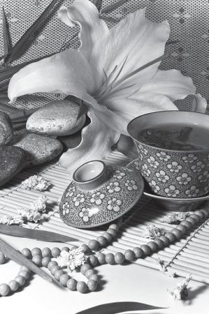 Лариса Соловьева - Дао голоса. Голос как ваш инструмент