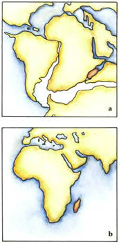 Дугал Диксон - Новые динозавры. Альтернативная эволюция