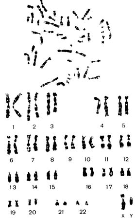 Николай Курчанов - Генетика человека с основами общей генетики. Руководство для...