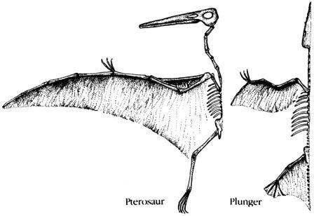 Дугал Диксон - Новые динозавры. Альтернативная эволюция