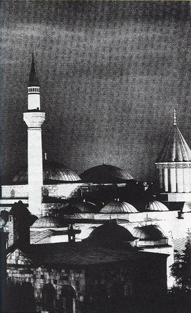 Илья Стогов - Мертвые могут танцевать: Путеводитель на конец света