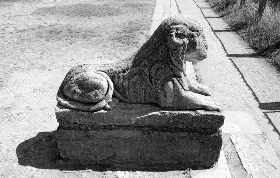 Андрей Гусаров - Гатчина. От прошлого к настоящему. История города и его жителей