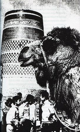 Илья Стогов - Мертвые могут танцевать: Путеводитель на конец света