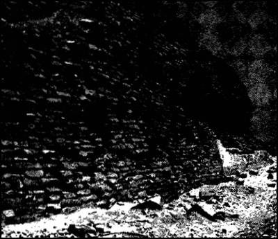 Эрих фон Деникен - Глаза Сфинкса