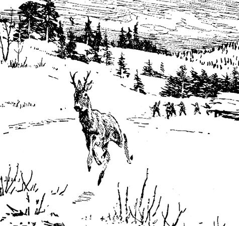 Владимир Арсеньев - Встречи в тайге