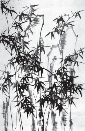 Лариса Соловьева - Дао голоса. Голос как ваш инструмент