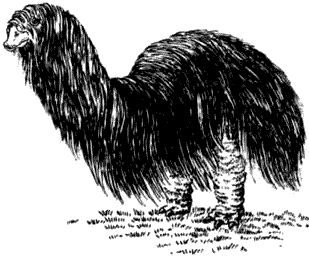 Дугал Диксон - Новые динозавры. Альтернативная эволюция