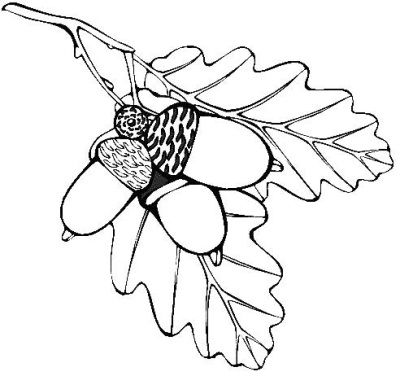 Ирина Маркова - Косяки и косячки