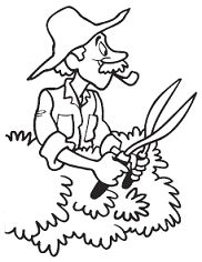 Николай Звонарев - Изгороди и заборы своими руками