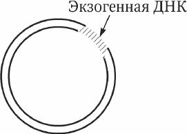 Николай Курчанов - Генетика человека с основами общей генетики. Руководство для...