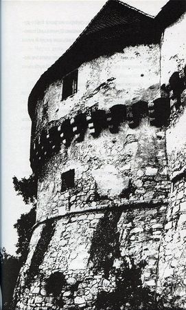 Илья Стогов - Мертвые могут танцевать: Путеводитель на конец света