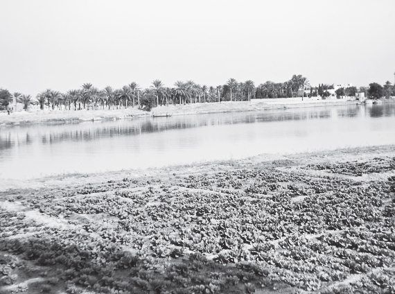 Валерий Гуляев - Шумер. Вавилон. Ассирия: 5000 лет истории