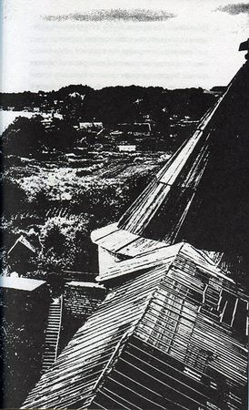 Илья Стогов - Мертвые могут танцевать: Путеводитель на конец света