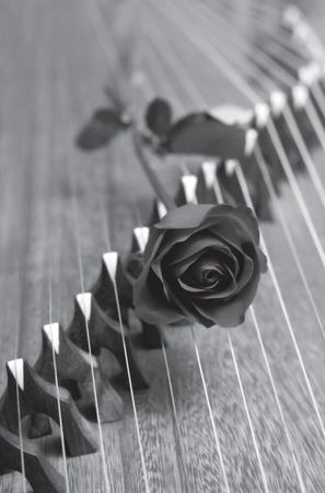 Лариса Соловьева - Дао голоса. Голос как ваш инструмент