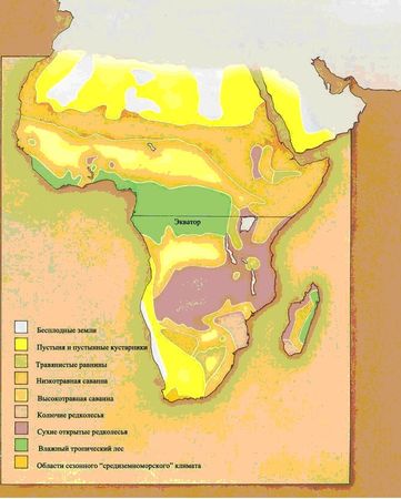 Дугал Диксон - Новые динозавры. Альтернативная эволюция