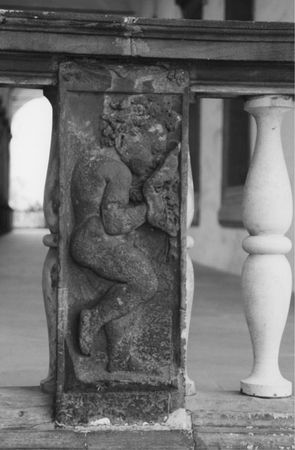 Марина Дмитриева - Италия в Сарматии. Пути Ренессанса в Восточной Европе