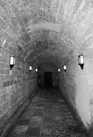 Андрей Гусаров - Гатчина. От прошлого к настоящему. История города и его жителей