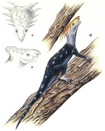 Дугал Диксон - Новые динозавры. Альтернативная эволюция