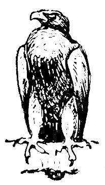 Владимир Арсеньев - Встречи в тайге