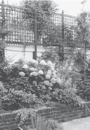 Юрий Харчук - Современный справочник фермера и садовода