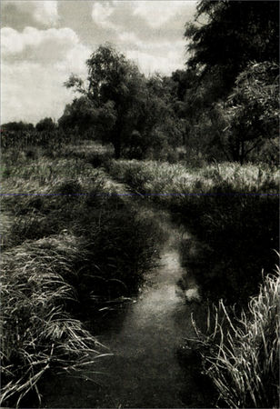 Арсений Тарковский - Судьба моя сгорела между строк