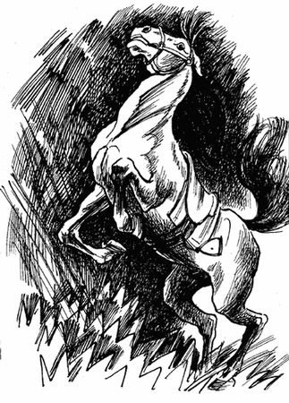 Анна Сьюэлл - Черный Красавчик