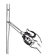 Дарья Нестерова - Новейшая энциклопедия правильного ремонта