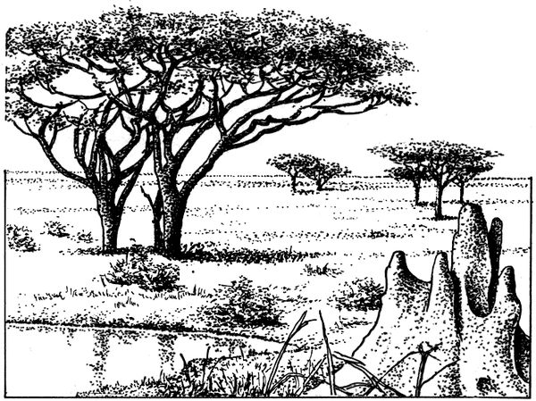 Дугал Диксон - Новые динозавры. Альтернативная эволюция