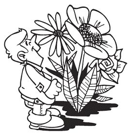 Николай Звонарев - Изгороди и заборы своими руками