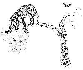 Владимир Леви - Куда жить