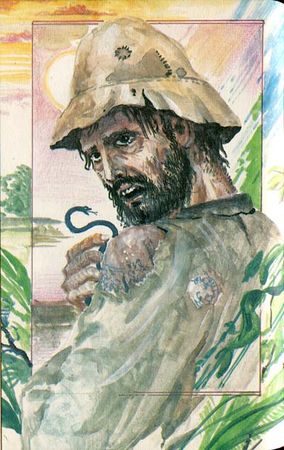 Луи Буссенар - Приключения маленького горбуна