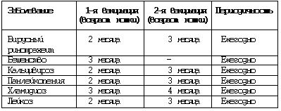Дарья НЕСТЕРОВА - Кошки - Сфинксы