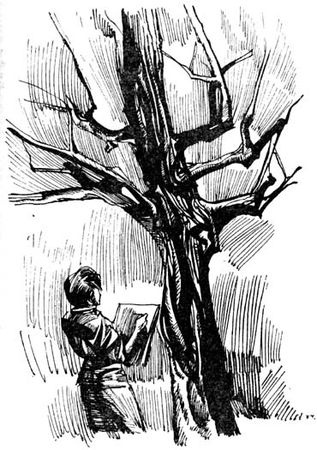 Георгий Гуревич - Ордер на молодость (Сборник с иллюстрациями)