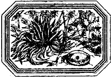 Владимир Короткевич - Чозения