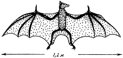 Джеймс Гордон - Конструкции, или почему не ломаются вещи