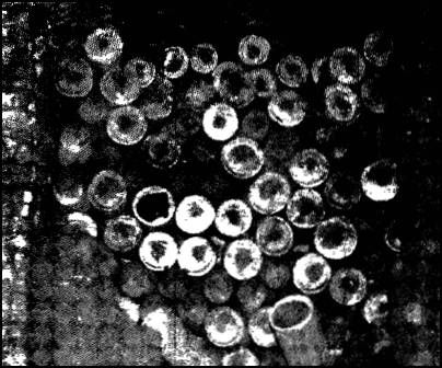 Эрих фон Деникен - Глаза Сфинкса