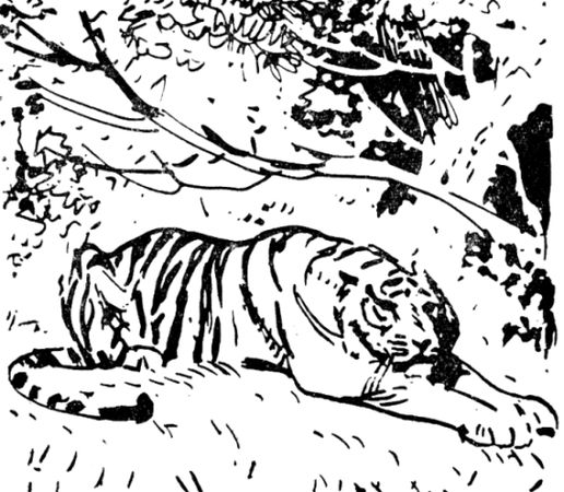 Владимир Арсеньев - Встречи в тайге