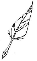 Ирина Маркова - Косяки и косячки