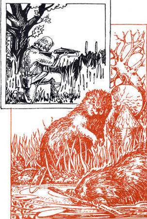 Владислав Хлебович - Пока еще не домашние