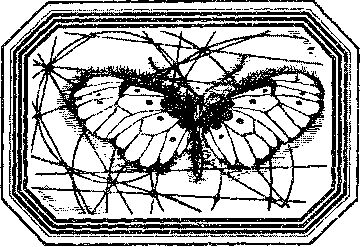 Владимир Короткевич - Чозения