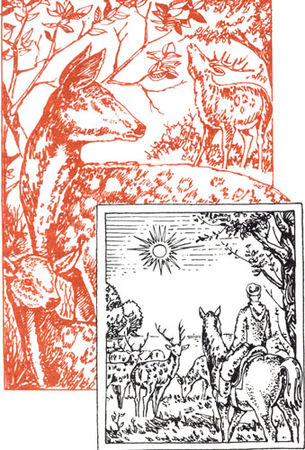 Владислав Хлебович - Пока еще не домашние