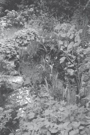 Юрий Харчук - Современный справочник фермера и садовода