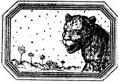 Владимир Короткевич - Чозения